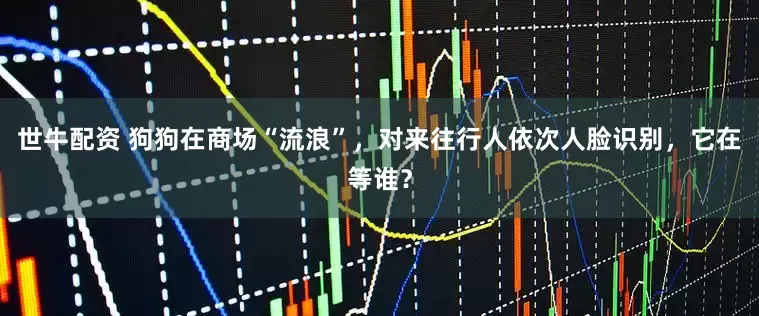 世牛配资 狗狗在商场“流浪”，对来往行人依次人脸识别，它在等谁？